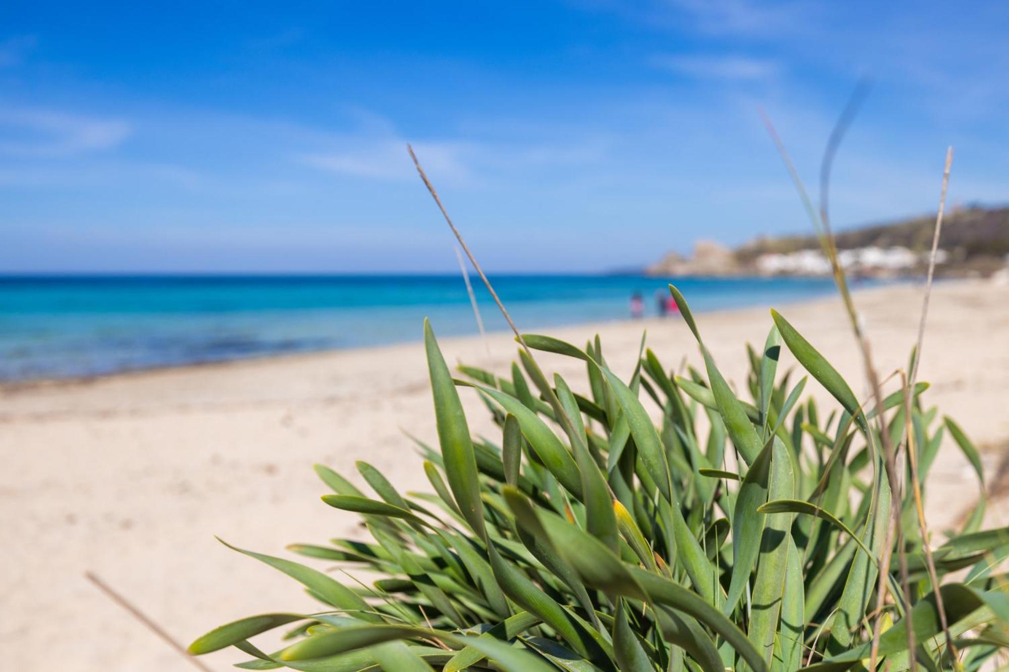 Luxury Suites & Apartment Con Accesso Alla Spiaggia E Parcheggio Privato - Vista Mare Lido Conchiglia Zewnętrze zdjęcie